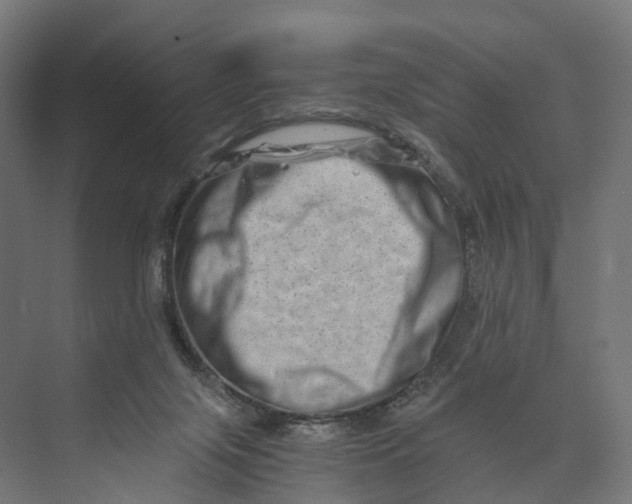 X0000073700071200608241428