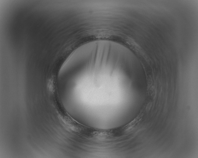 X0000073700074200608241428