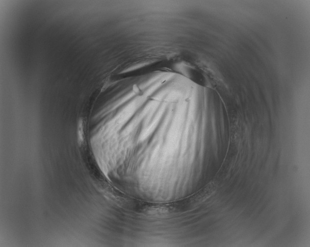 X0000073700075200608241428