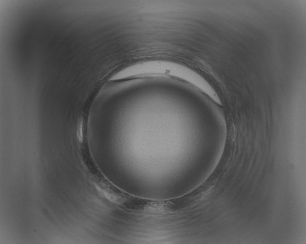 X0000073700076200608241428