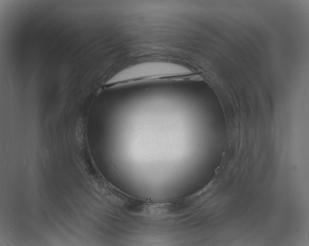 X0000073700078200608241428