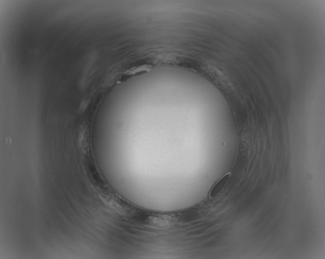 X0000073700079200608241428