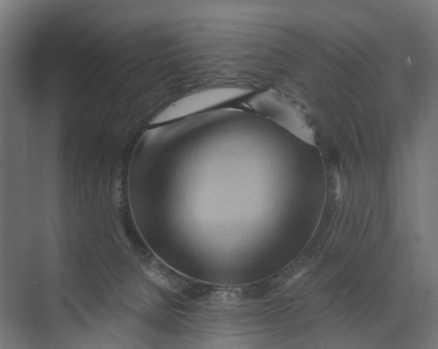 X0000073700080200608241428