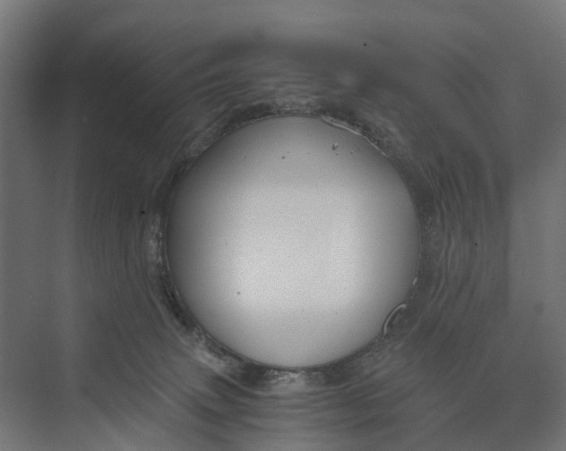 X0000073700083200608241428