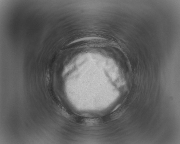 X0000073700085200608241428