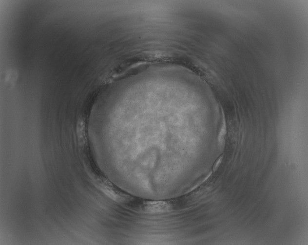 X0000073700087200608241428