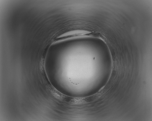 X0000073700093200608241428