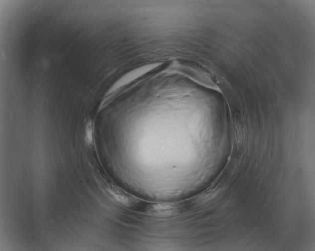 X0000073700095200608241428