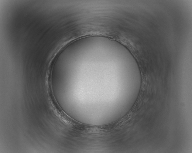 X0000073700098200608241427