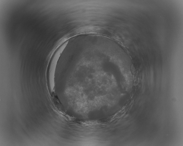 X0000073700099200608241427