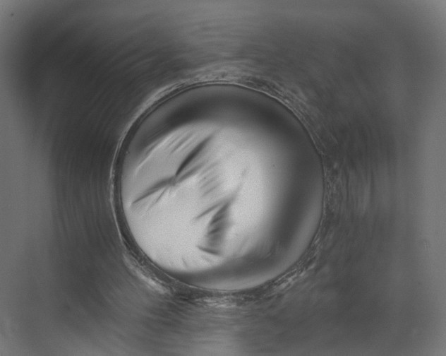 X0000073700100200608241427