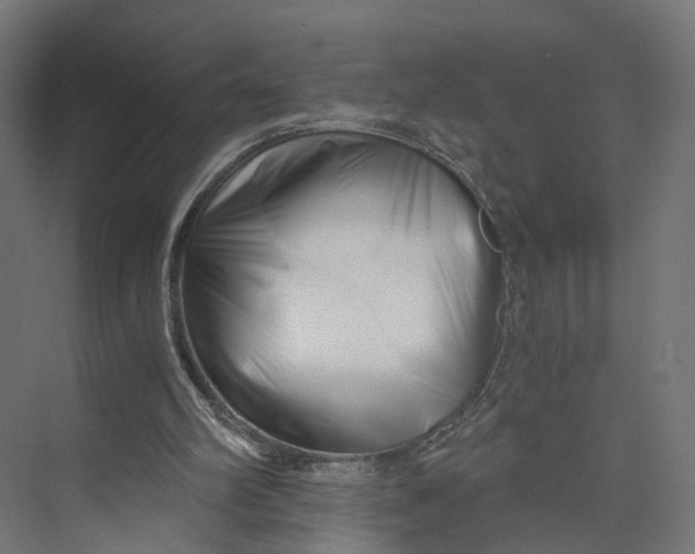 X0000073700102200608241427