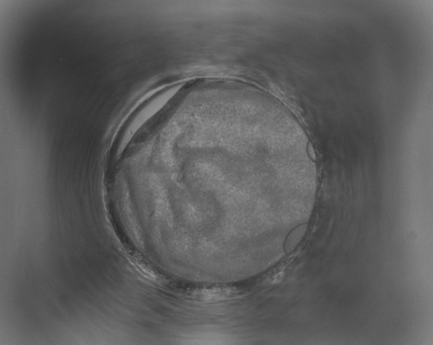 X0000073700103200608241427