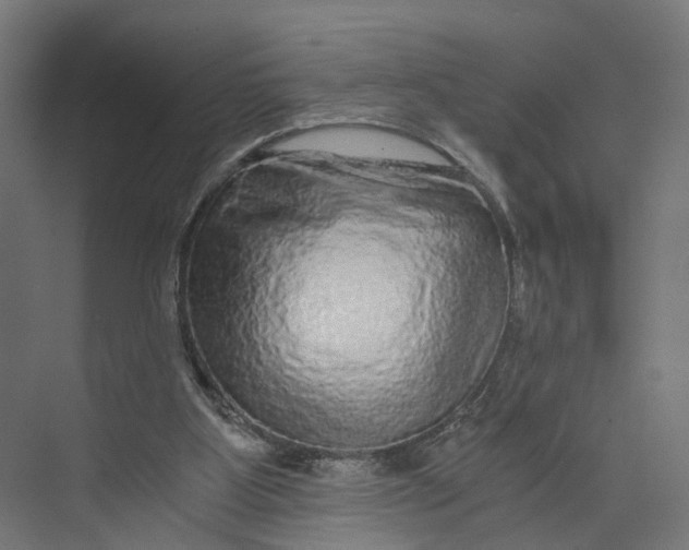 X0000073700107200608241427