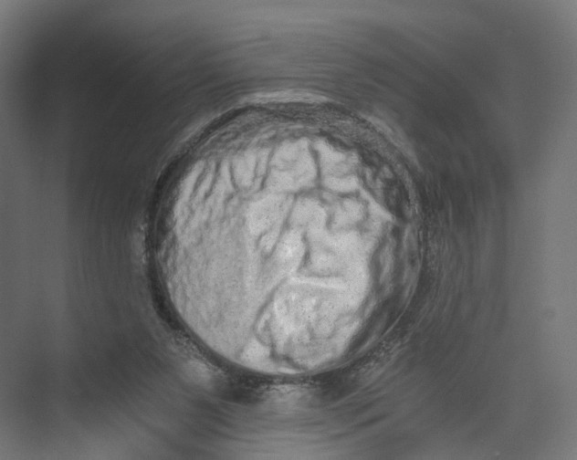 X0000073700111200608241427