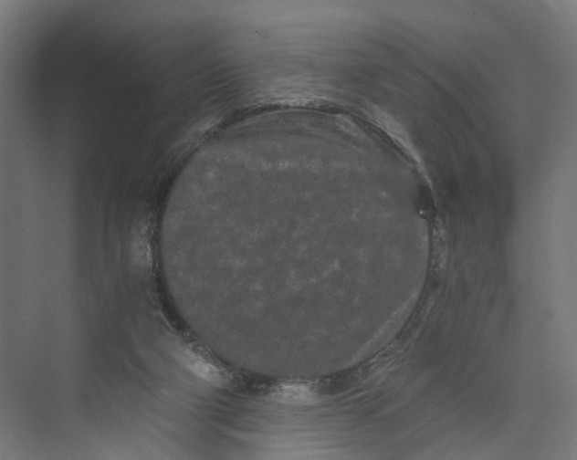 X0000073700114200608241427