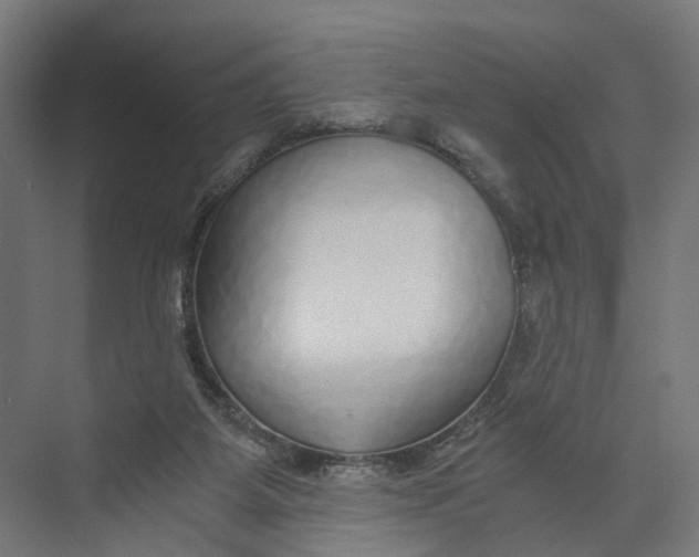 X0000073700115200608241427