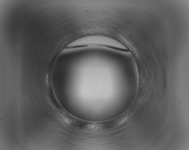 X0000073700117200608241427