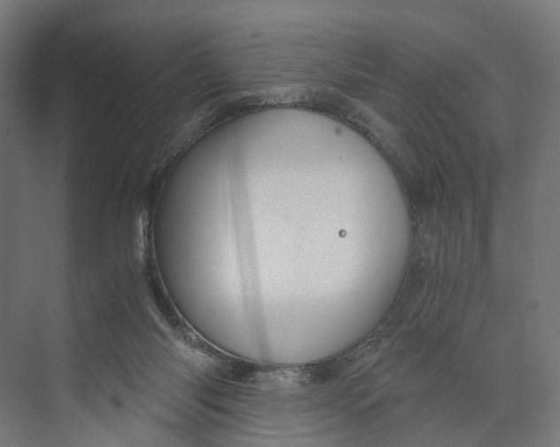 X0000073700118200608241427