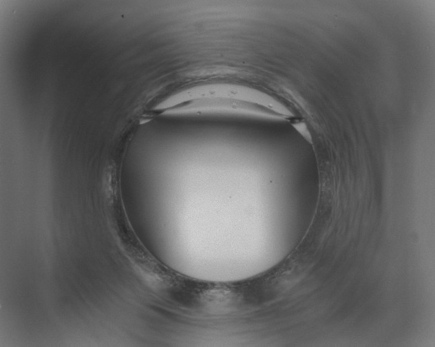 X0000073700119200608241427