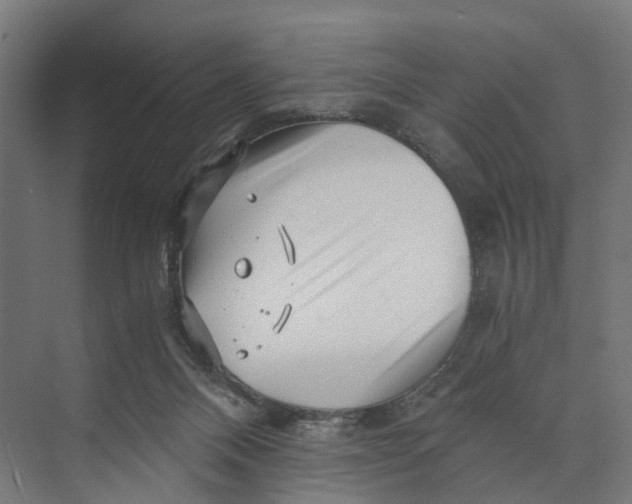 X0000073700120200608241427