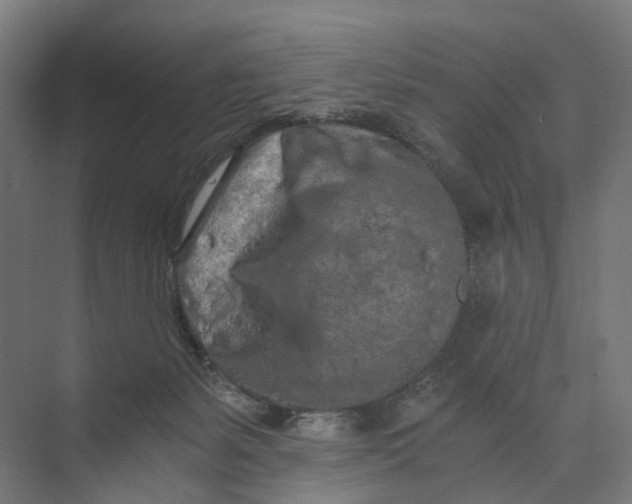 X0000073700127200608241427