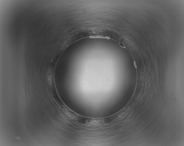 X0000073700129200608241427