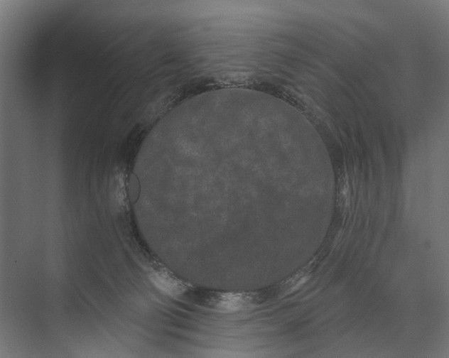 X0000073700130200608241427