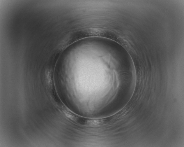 X0000073700131200608241427