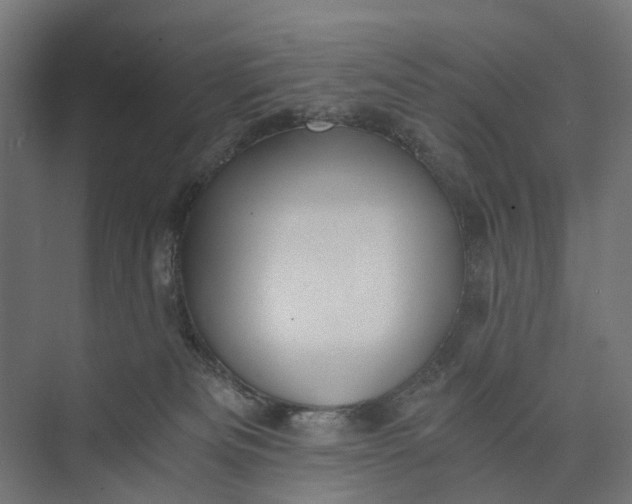 X0000073700133200608241427