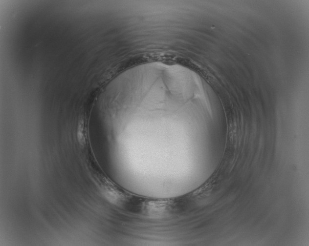 X0000073700134200608241427