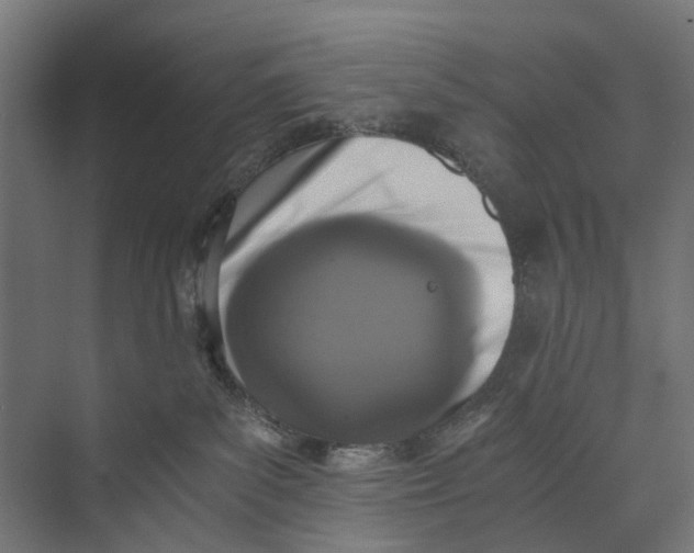 X0000073700139200608241427