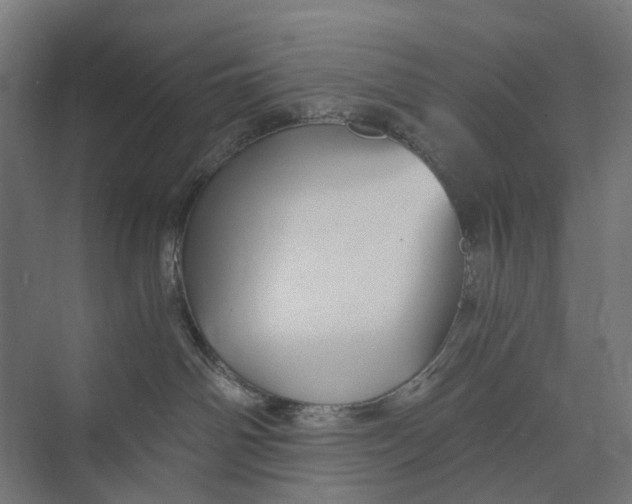 X0000073700142200608241427