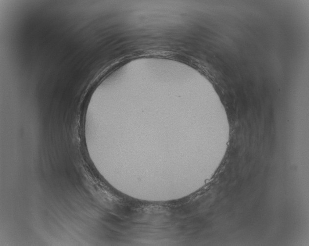 X0000073700146200608241426