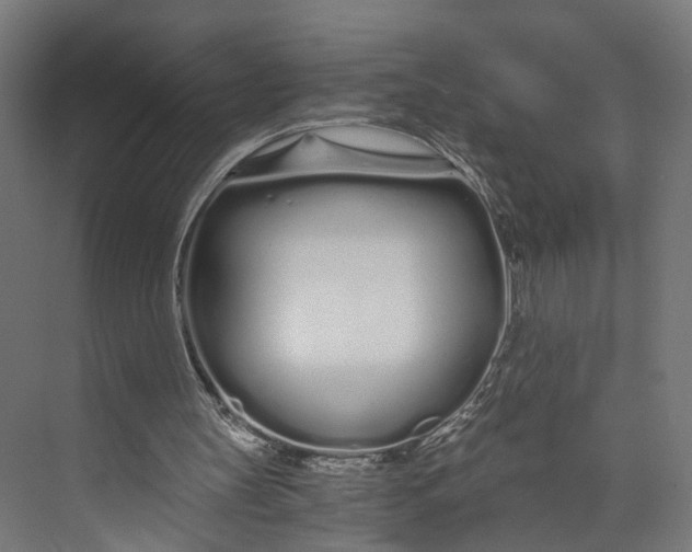 X0000073700147200608241426