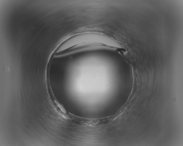 X0000073700148200608241426