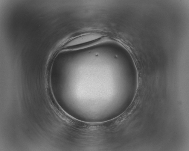 X0000073700149200608241426