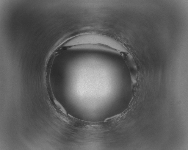 X0000073700150200608241426