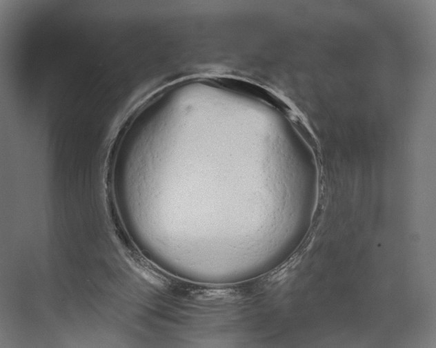 X0000073700151200608241426