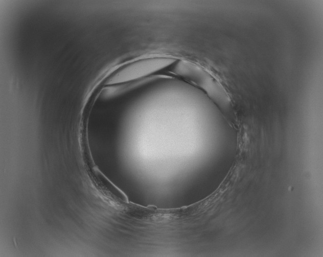 X0000073700152200608241426