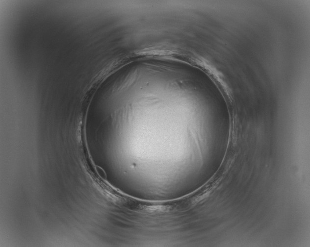 X0000073700153200608241426