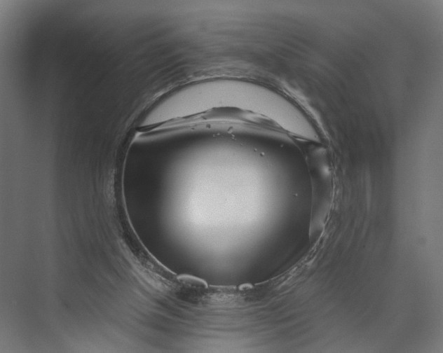 X0000073700154200608241426