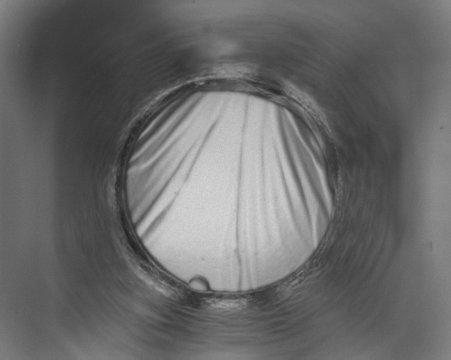 X0000073700155200608241426