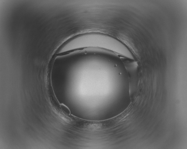 X0000073700156200608241426