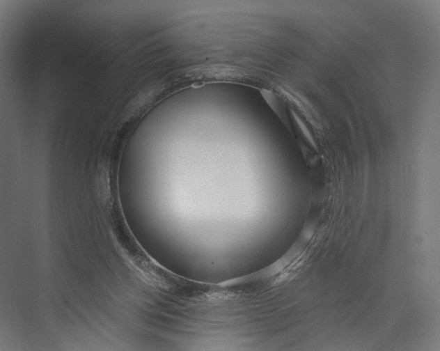 X0000073700158200608241426