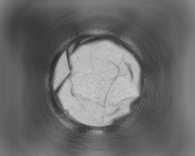 X0000073700159200608241426