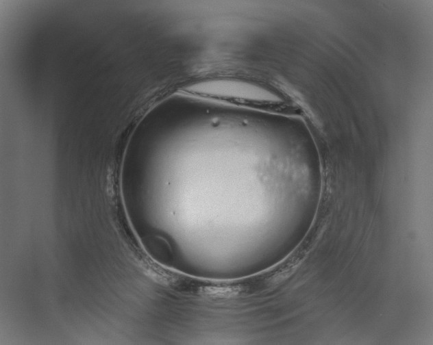 X0000073700161200608241426