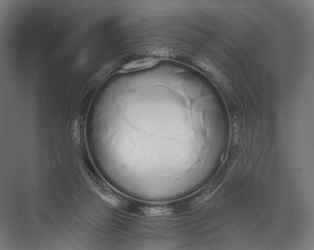 X0000073700165200608241426