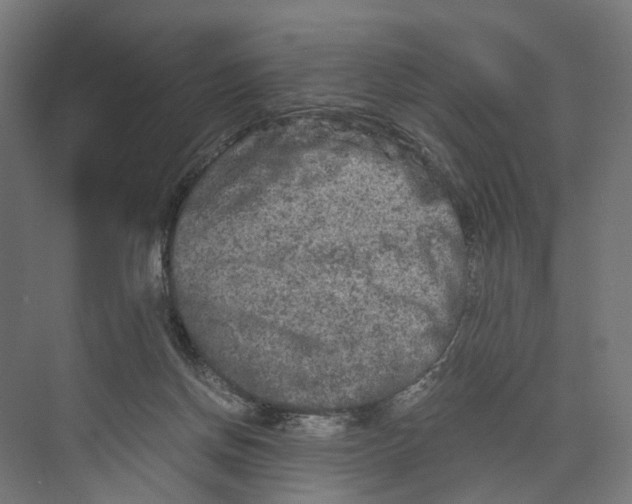 X0000073700166200608241426