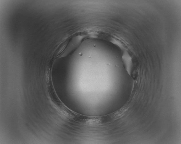 X0000073700168200608241426